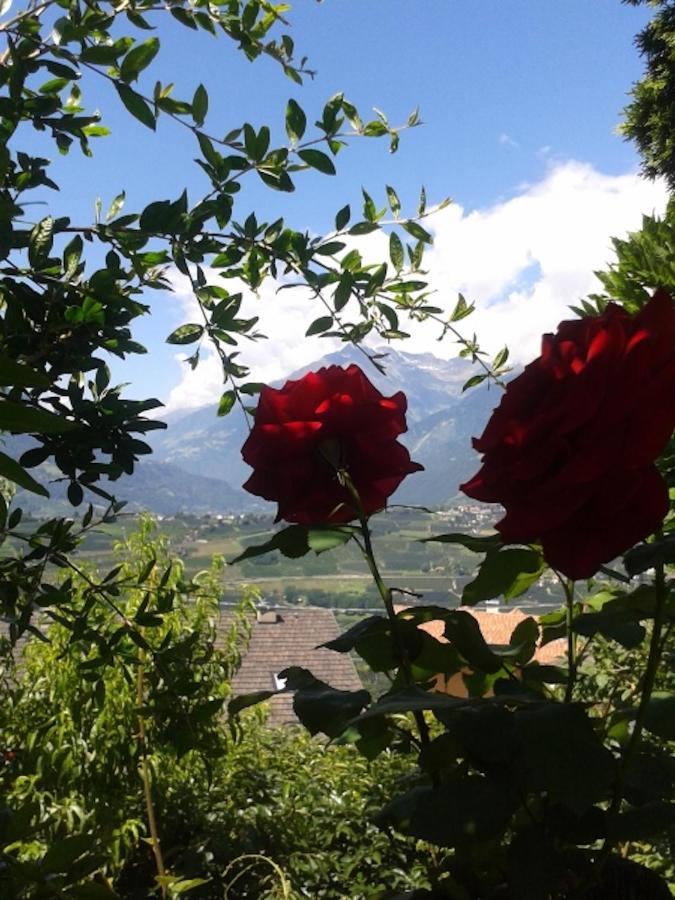 Apartamento Hahnenkamm Rainegg Scena Exterior foto